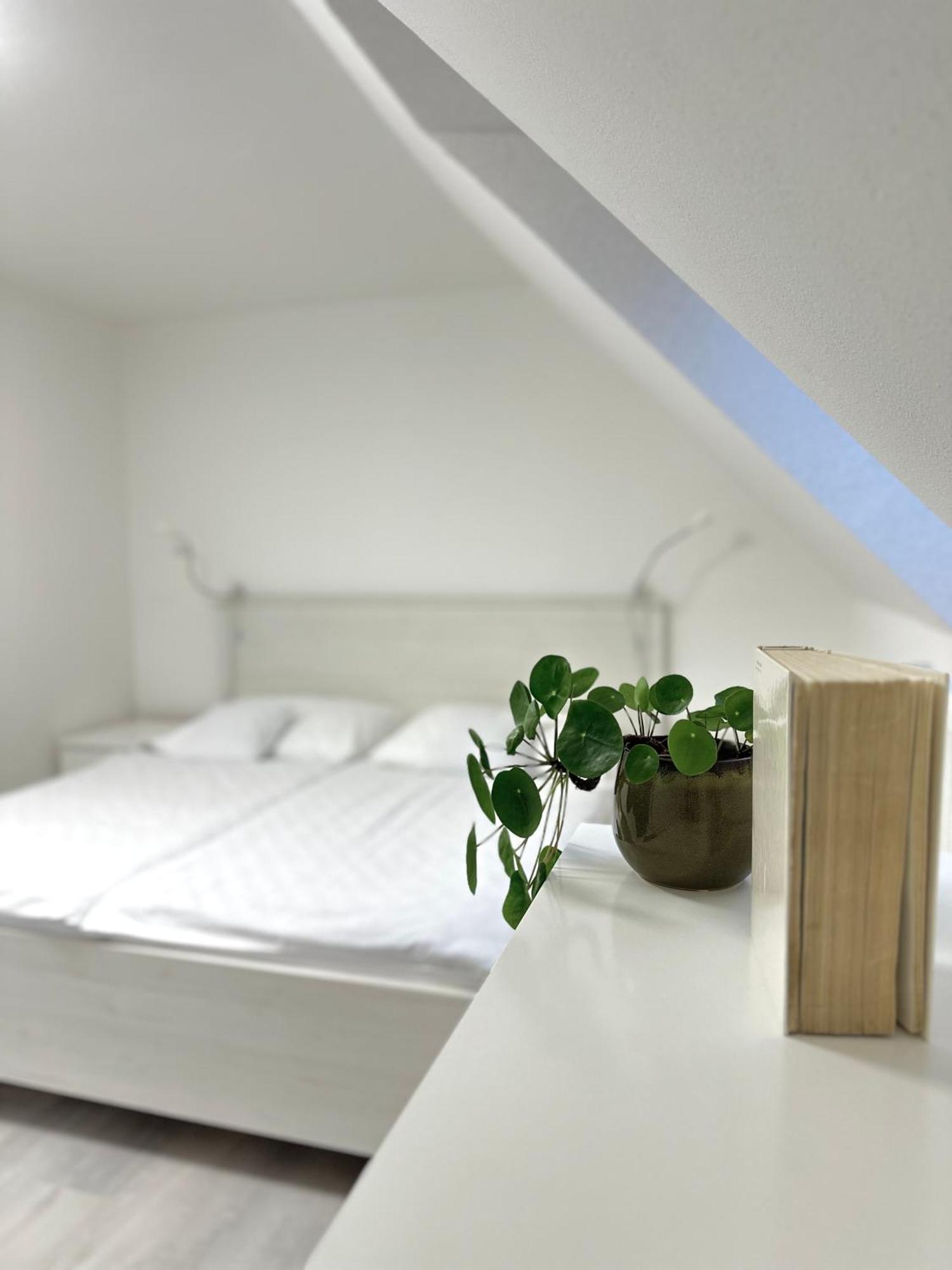 Apartment Nela Pavčina Lehota Εξωτερικό φωτογραφία